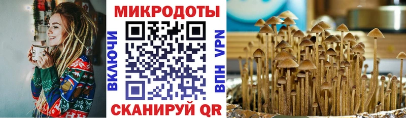 Галлюциногенные грибы Cubensis  что такое наркотик  Островной 